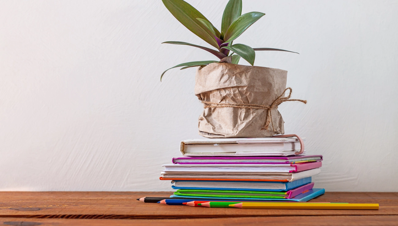 O impacto ambiental da indústria editorial